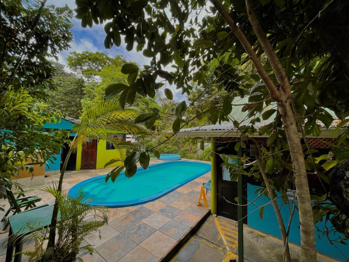Los Amigos Jungle Hotel Tortuguero Exteriér fotografie