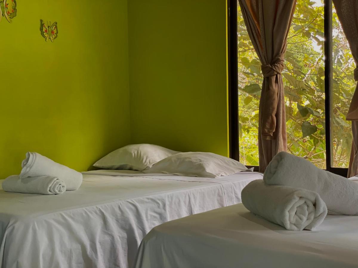 Los Amigos Jungle Hotel Tortuguero Exteriér fotografie