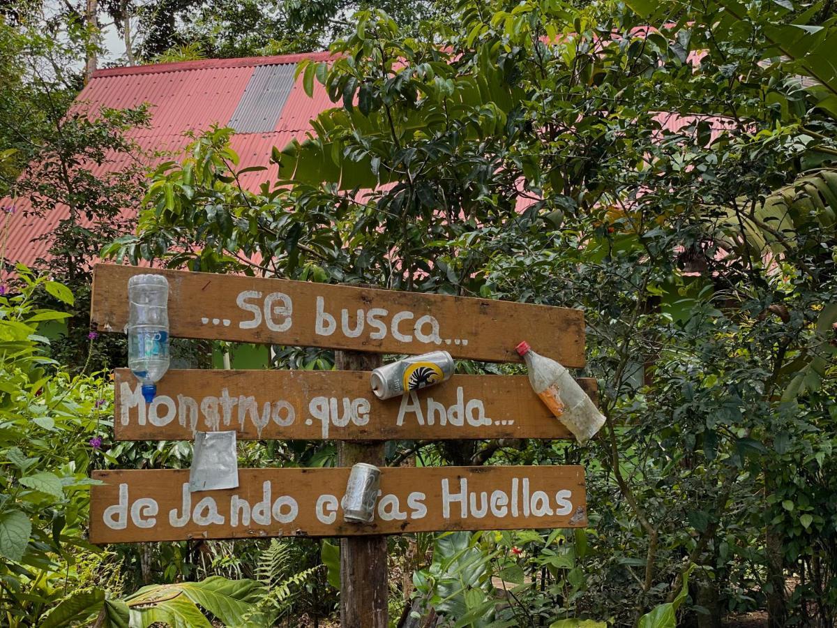 Los Amigos Jungle Hotel Tortuguero Exteriér fotografie