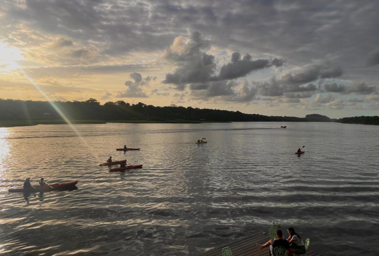 Los Amigos Jungle Hotel Tortuguero Exteriér fotografie