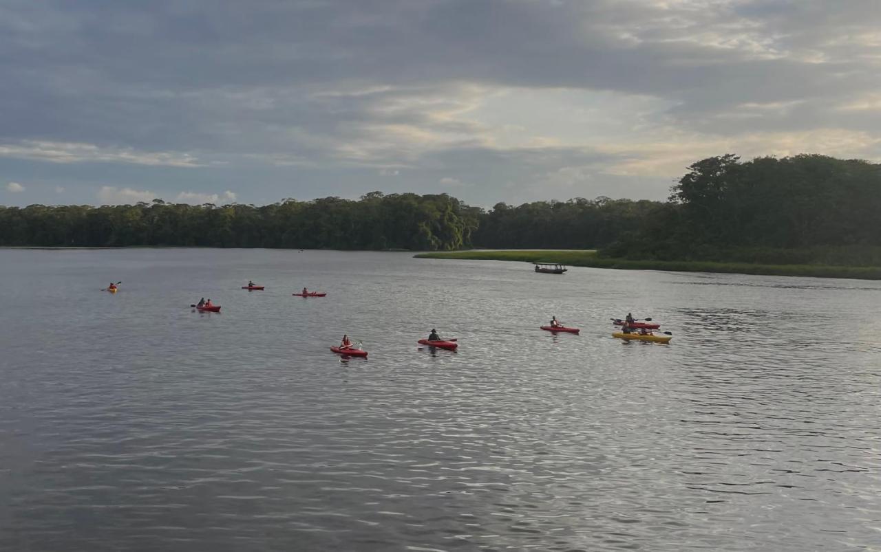 Los Amigos Jungle Hotel Tortuguero Exteriér fotografie